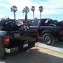 Nick Perez Photo 22