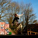 Ollie Thomas Photo 39