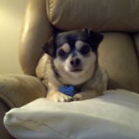 Nancy Koger Photo 10