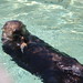 Jacob Evers Photo 14