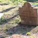 Elisabeth Spring Photo 10
