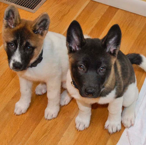 Ann Rodriguez Photo 34