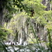Mary Brownell Photo 13