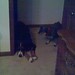 Libby Murphy Photo 14