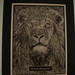 Mark Moser Photo 17