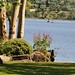 Judith Harvey Photo 16