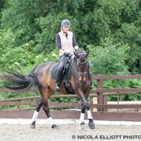 Susan Finch Photo 38