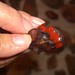 Crystal Cady Photo 16