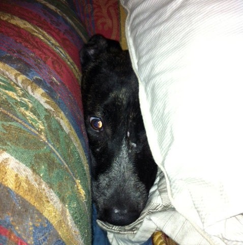 Connie Farris Photo 11