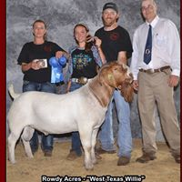 Joe Reese Photo 44
