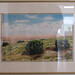 Barbara Plummer Photo 13