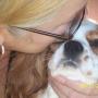 Pamela Mccullough Photo 28