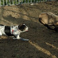Kim Rhoades Photo 31