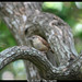 Carol Haggerty Photo 21