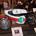 Tommy Robb Photo 22