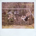 Randal Weeks Photo 9