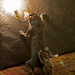 Randall Hand Photo 11