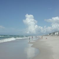 Anne Welch Photo 43