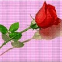 Syed Sajjad Photo 32