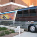 Ann Nelson Photo 12
