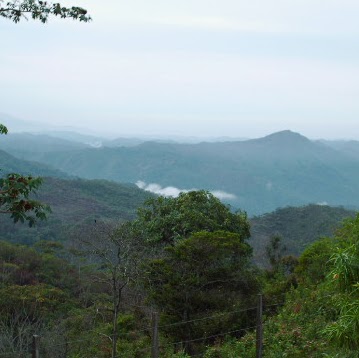 Francisco Quintero Photo 35