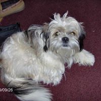 Christine Waldron Photo 18