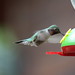 Gary Estes Photo 27