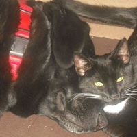 Susan Brodeur Photo 12