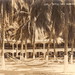 Virginia Pullen Photo 17