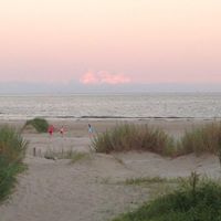 Tricia Cobb Photo 11