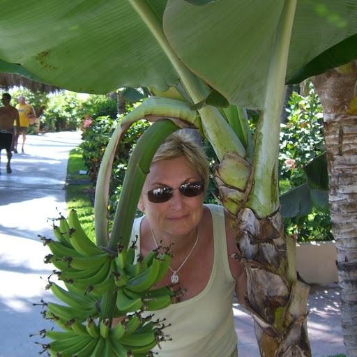 Christine Houston Photo 5