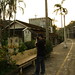 Ching Tung Photo 13