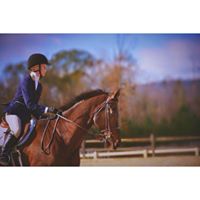 Kirsten Todd Photo 8