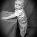 Nicholas Lynch Photo 18