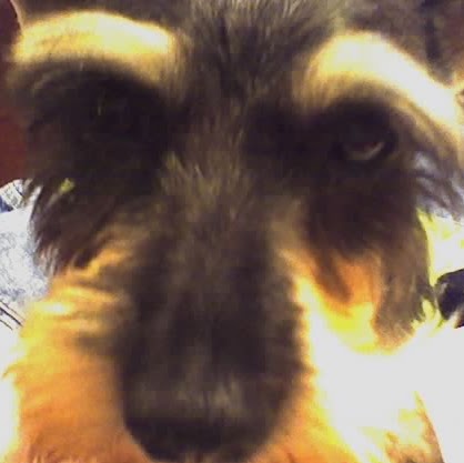 Kimberly Nelms Photo 11