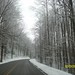Robin Spann Photo 14
