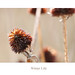Susan Stange Photo 9