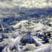 Jack Frost Photo 18