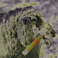 Frank Lamb Photo 8