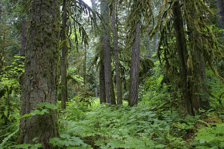 Lynn White Photo 16
