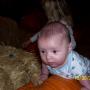 Denise Dougherty Photo 25