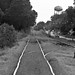 Joseph Calloway Photo 17