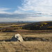 Stoney Huntington Photo 5