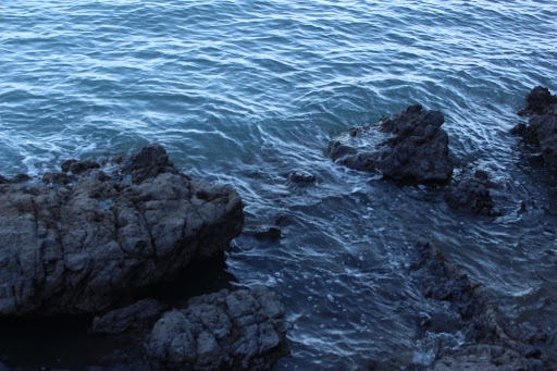 Scott Blair Photo 30