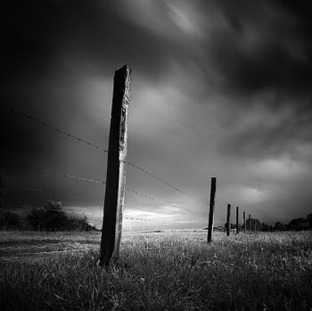 John Cresswell Photo 20