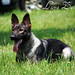 Jody Potter Photo 23