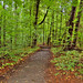 Joseph Grove Photo 22