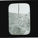 Preston Manning Photo 16