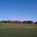 Scott Comstock Photo 19