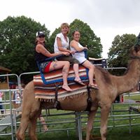 Lana Harding Photo 10 Lana Harding Photo 10